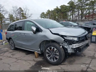 HONDA HONDA ODYSSEY TOURING