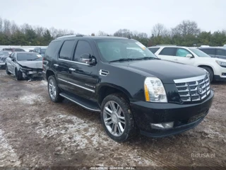 CADILLAC CADILLAC ESCALADE STANDARD