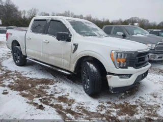 FORD FORD F-150 XLT
