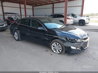 CHEVROLET CHEVROLET MALIBU FWD 1LT