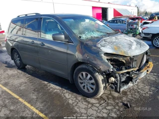 HONDA HONDA ODYSSEY EX-L
