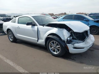 FORD FORD MUSTANG V6 DELUXE/V6 PREMIUM