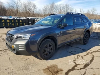 SUBARU OUTBACK WILDERNESS