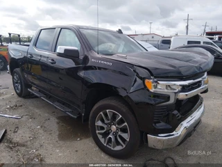 CHEVROLET CHEVROLET SILVERADO 1500 2WD  SHORT BED LT