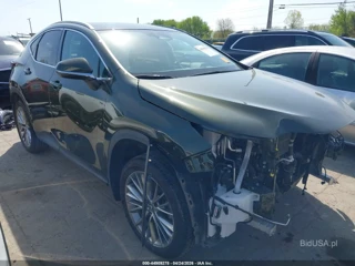 LEXUS LEXUS NX 350 LUXURY
