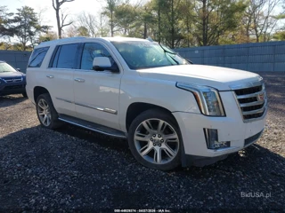 CADILLAC CADILLAC ESCALADE LUXURY COLLECTION