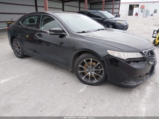ACURA ACURA TLX V6 TECH