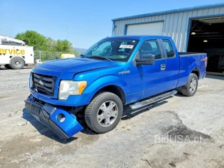 FORD F150