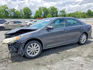TOYOTA CAMRY HYBRID XLE