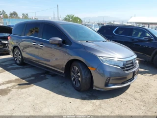 HONDA HONDA ODYSSEY EXL