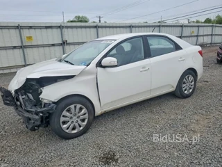 KIA FORTE EX