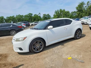 SCION TC BASE
