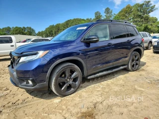 HONDA PASSPORT ELITE