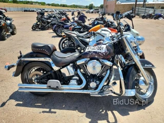 HARLEY-DAVIDSON FLSTC