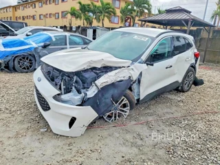 FORD ESCAPE SEL