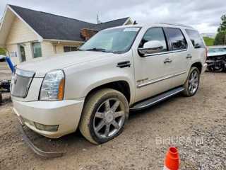 CADILLAC ESCALADE LUXURY