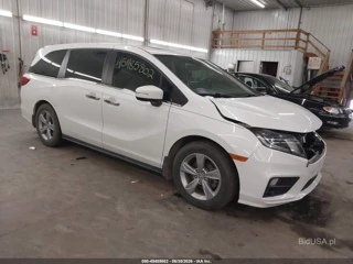 HONDA HONDA ODYSSEY EX-L/EX-L W/NAVI   RES