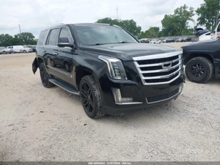 CADILLAC CADILLAC ESCALADE LUXURY COLLECTION
