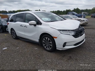 HONDA HONDA ODYSSEY EX-L