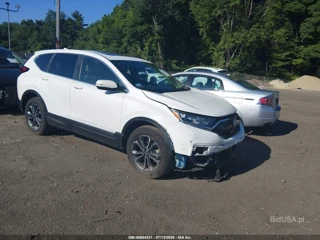 HONDA HONDA CR-V AWD EX-L