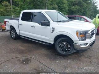 FORD FORD F-150 XLT