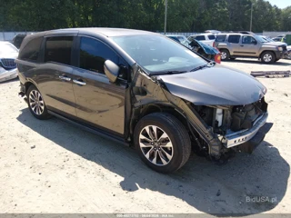 HONDA HONDA ODYSSEY EX-L