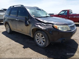 SUBARU SUBARU FORESTER 2.5X LIMITED