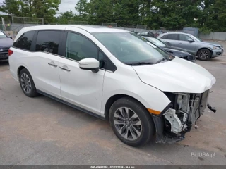 HONDA HONDA ODYSSEY EX-L