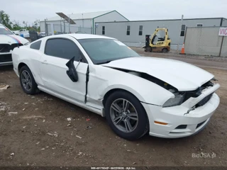 FORD FORD MUSTANG V6 PREMIUM