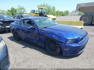 FORD FORD MUSTANG V6