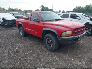 DODGE DODGE DAKOTA