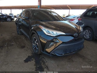 TOYOTA TOYOTA C-HR XLE