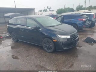 HONDA HONDA ODYSSEY SPORT