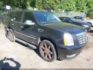 CADILLAC CADILLAC ESCALADE LUXURY