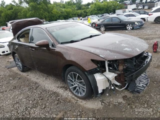 LEXUS LEXUS ES 350
