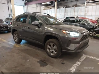 TOYOTA TOYOTA RAV4 HYBRID XLE