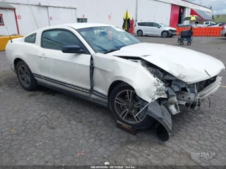 FORD FORD MUSTANG V6 PREMIUM