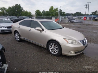 LEXUS LEXUS ES 350
