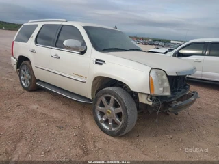 CADILLAC CADILLAC ESCALADE STANDARD