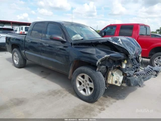 DODGE DODGE DAKOTA BIGHORN/LONESTAR