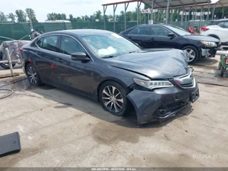ACURA ACURA TLX