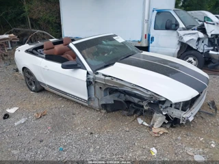 FORD FORD MUSTANG V6/V6 PREMIUM