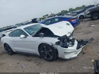 FORD FORD MUSTANG ECOBOOST FASTBACK