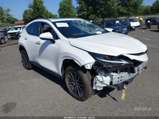 LEXUS LEXUS NX 350 PREMIUM