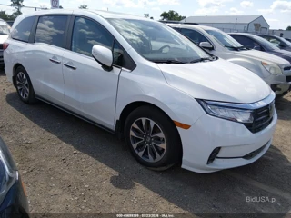 HONDA HONDA ODYSSEY EX-L