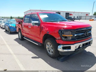 FORD FORD F-150 XLT