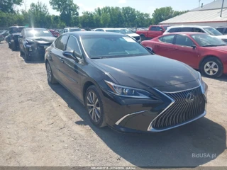 LEXUS LEXUS ES 350 SIGNATURE
