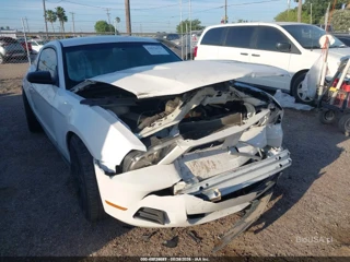 FORD FORD MUSTANG V6