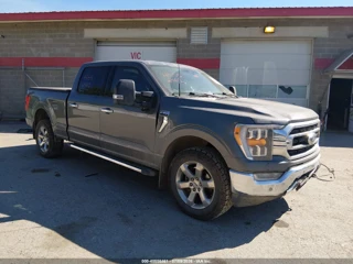 FORD FORD F-150 KING RANCH/LARIAT/LIMITED/PLATINUM/TREMOR/XL/XLT