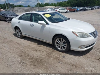 LEXUS LEXUS ES 350